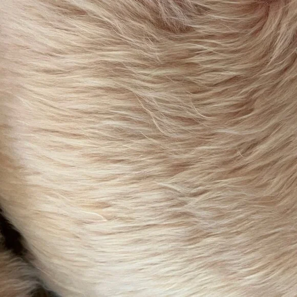 Article (Retired) Lanna Round Pink Sheepskin Pair of Pillows - EUC - So Soft! - Picture 5 of 11